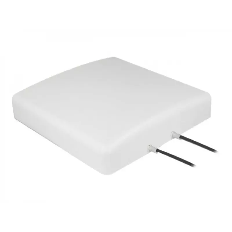 DeLOCK 89891 kryptinė antena SMA 8 dBi