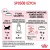 Šlapias kačiukų ėdalas Royal Canin Kitten Jelly 85 g – vištienos skonis, 85 g paketėlis, 12 vnt.