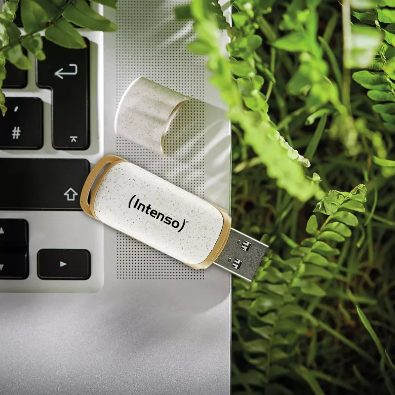 INTENSO atmintukas USB 3.2 64GB 3540490
