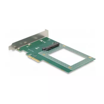 DeLOCK PCI Express x4 kortelė su 1 vidiniu U.2 NVMe SFF-8639 lizdu