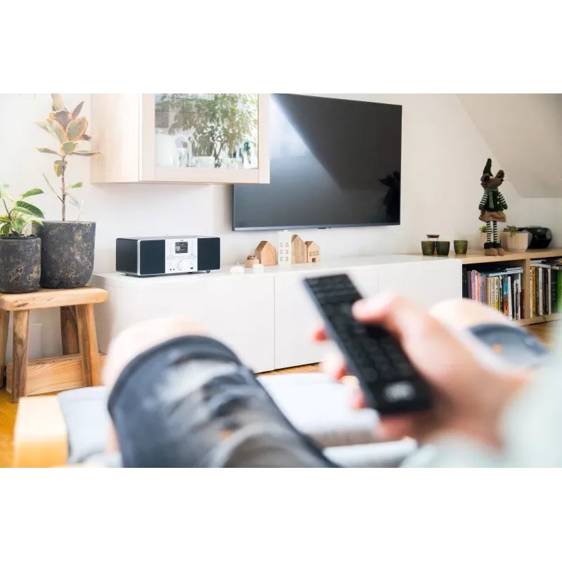 Grindinis garsiakalbis JVC RD-E874B Bluetooth 20W Juodas Sidabrinis