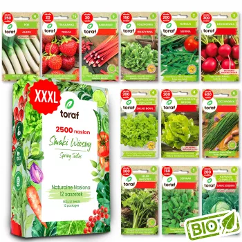 TORAF Spring Flavors sėklų rinkinys – 12 pakelių