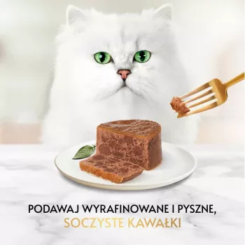 Šlapias kačių maistas Gourmet pâtė su triušiena 85 g