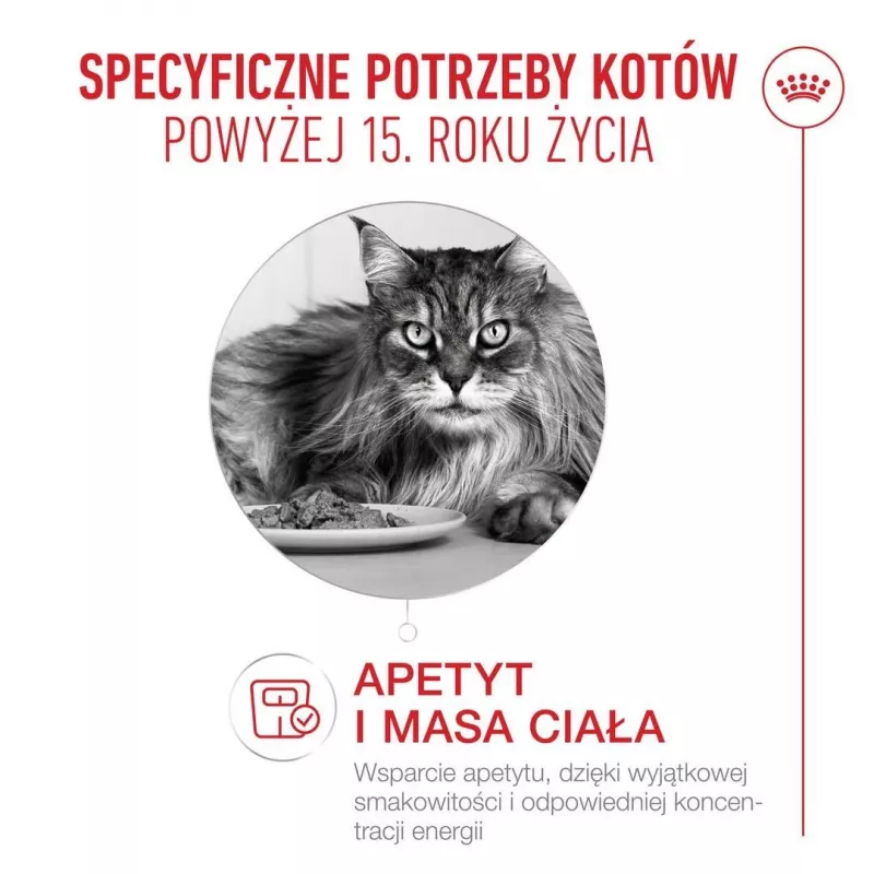 ROYAL CANIN Ageing 15+ - sausas kačių maistas - 4kg