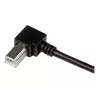 StarTech.com 3 m USB 2.0 A į stačiu kampu B laidas - vyriškas/vyriškas