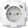 BUSCH JAEGER SCHUKO kištukinis lizdas su USB-A+C 20 EUCB2USBAC-914 (2CKA002011A6298)