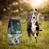 ADDVENA Taste Sensations suaugusiems vidutinių/didelių veislių šunims kalakutiena - sausas ėdalas - 10kg