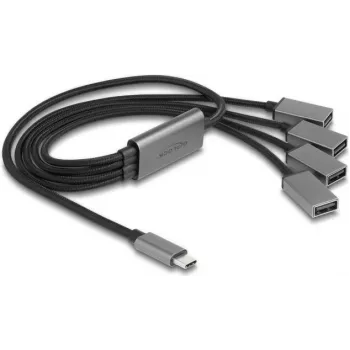DeLOCK 64210 USB 2.0 Type-C USB šakotuvas 480 Mbit/s juoda pilka