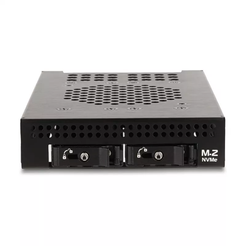 DeLOCK 47117 3,5 colio mobilus krepšelis 2 M.2 NVMe SSD