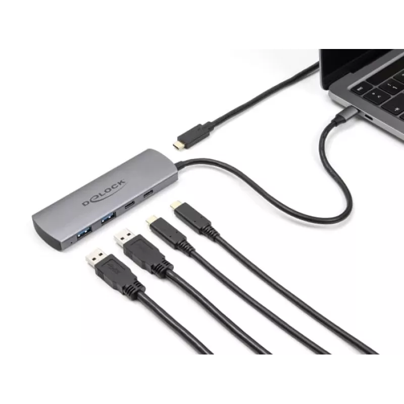 USB šakotuvas DeLOCK 64299, metalinis, USB 3.2 Gen 2, 4 prievadai