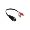 Alcasa AD-2CS5B Audio kabelis 0,2 m 2 x RCA DIN (5 kontaktų) juoda - raudona - balta