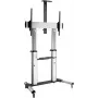 ROLINE stovas LCD ekranams – sidabrinis – 152,4–254 cm (60–100 inch)