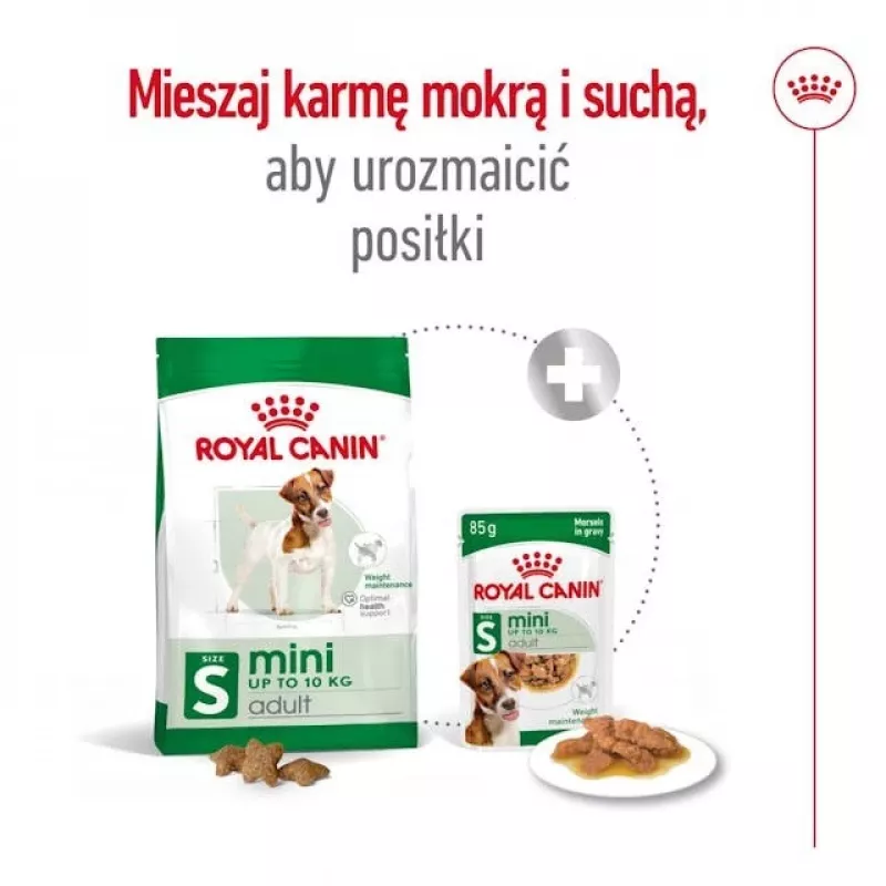 Sausas šunų ėdalas Royal Canin Adult Mini S 8 kg – visavertis maistas mažiems suaugusiems šunims