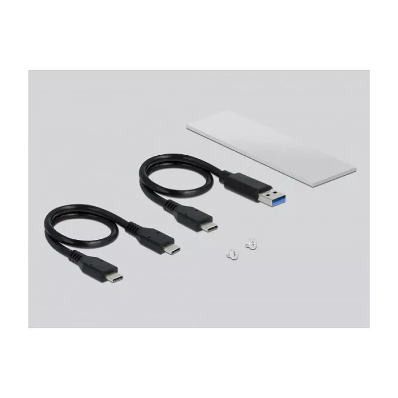 DeLOCK 42634 sidabrinis M.2 SSD korpusas