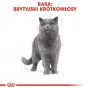 Šlapias kačių maistas Royal Canin British Shorthair Adult sachet 85 g, paukštiena, ROYAL CANIN Feline Breed Nutrition