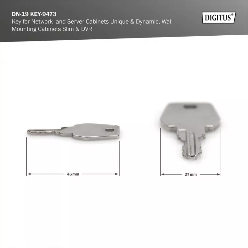 Raktas tinklo ir serverių spintoms Digitus DN-19 KEY-9473