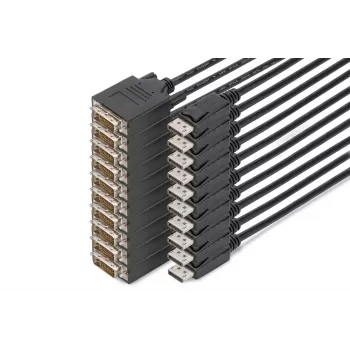 Digitus DisplayPort – DVI adapterio laidas, 10 vnt. pakuotė