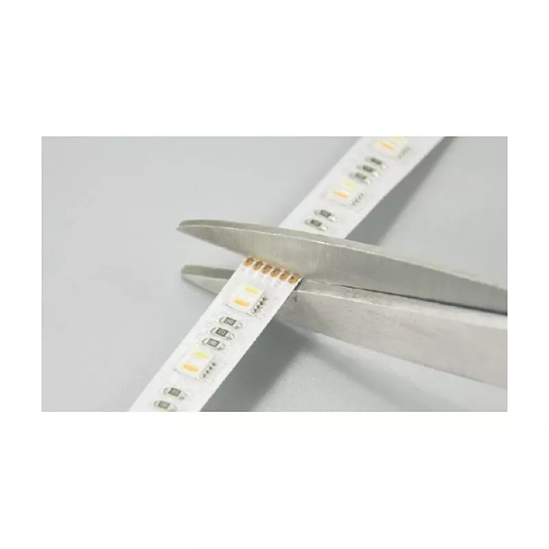 Synergy 21 LED Flex Strip 5050 - 84 RGB DC24V + RGB-WW (RGB-CCT) vienas lustas HD IP20