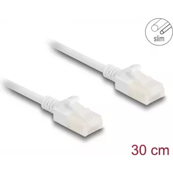 Tinklo kabelis DeLOCK RJ45 Cat.6A kištukas-kištukas 0,3 m baltas