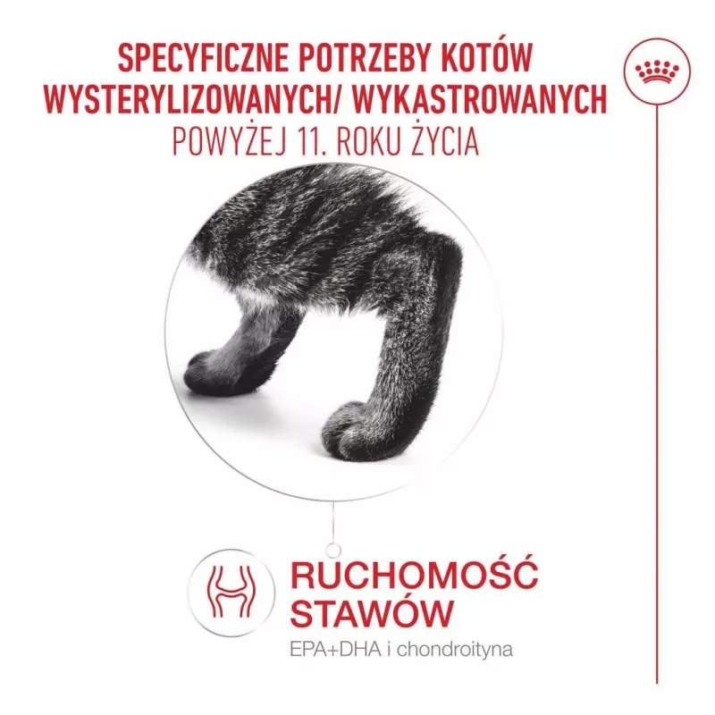 Sausas kačių ėdalas Royal Canin FHN Ageing 11+ 4 kg – pilnavertis ėdalas senjorėms katėms, paukštiena, 30% baltymų