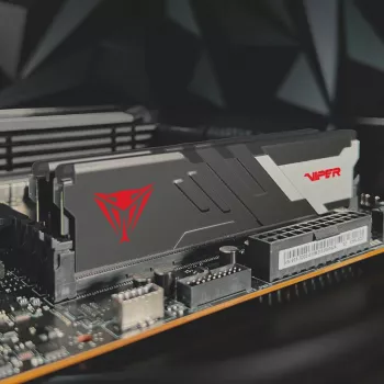 Patriot PVV516G60C30 Viper Venom SINGLE DIMM, 16GB, DDR5, 6000 Mhz, CL36, 1.35V, Black HS