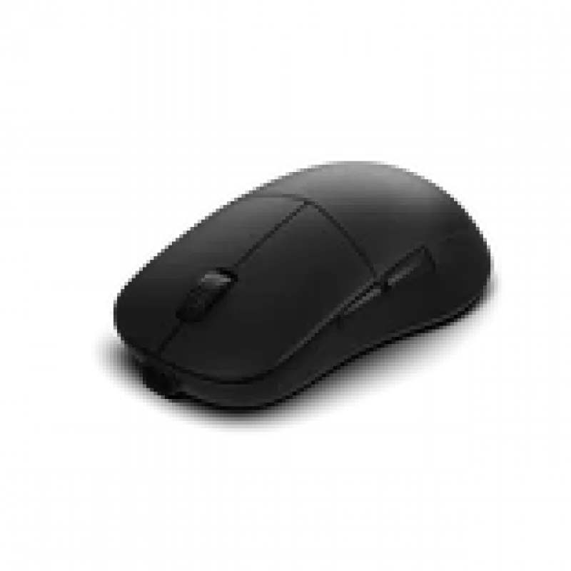 Gaming pelė Endgame Gear XM2w 4k v2, 4000 Hz