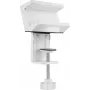 SpeaKa Professional Universalus Gnybtinis Laikiklis Prailgintuvui SP-PSH-001 SP-13403152 Baltas 1 vnt.