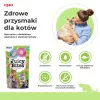 INABA Juicy Bites Homestyle broth and Calamari - katės skanėstai - 3x11,3 g