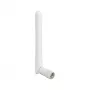 Kryptinė antena DeLOCK 12006 2 dBi RP-SMA