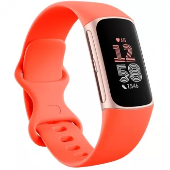 Fitbit Charge 6 - Champagne Gold Aluminium - Aktivitätsmesser mit Infinity Band - Silikon - korallefarben - NFC, Bluetooth - 37.64 g (40-56-7910)