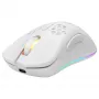Belaidė žaidimų pelė Deltaco GAM-120-W RF belaidė USB Type-C