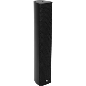 Kolonėlė lauko stulpinė Omnitronic ODC-244T Juoda 100W IP65