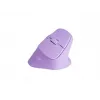 NATEC Crake 2 pelė, universali, dešinei rankai, RF belaidė + Bluetooth, optinė, 2400 DPI