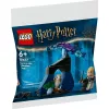 Konstruktorius LEGO Harry Potter rinkinys 30677 – Drakas Užburtojo miške minifigūrėlių scena