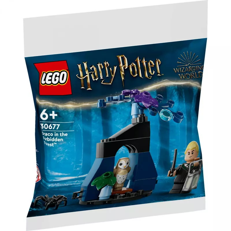 Konstruktorius LEGO Harry Potter rinkinys 30677 – Drakas Užburtojo miške minifigūrėlių scena