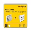 DeLOCK 11499 Kištukinis lizdas su USB-A ir USB-C, baltas