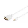 Kabelis DisplayPort 1.1a mini DP-DVI tipas MM 2,0 m