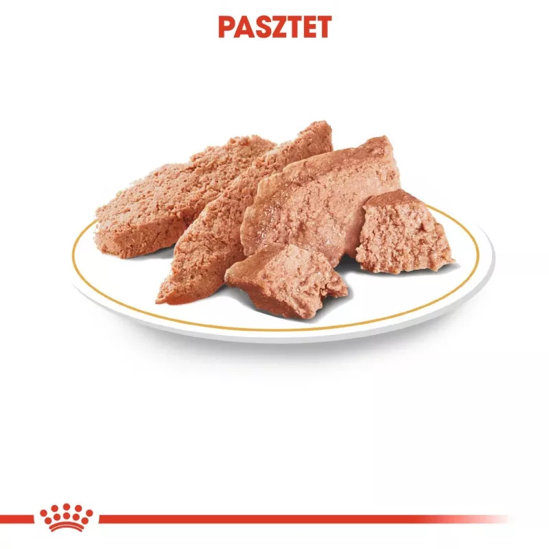 Šlapias šunų maistas Royal Canin Chihuahua Adult sachet 85 g – paukštiena, suaugusioms čihuahuoms 1–1,9 kg