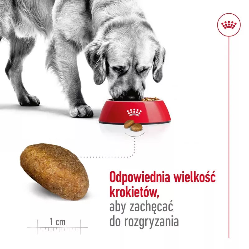 Sausas šunų ėdalas Royal Canin Maxi Adult 15 kg – vištiena, 26% baltymų, 17% riebalų, virškinimo palaikymas