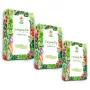 Toraf sėklų rinkinys – Set 2X3 2024 Toraf 36X1PCS