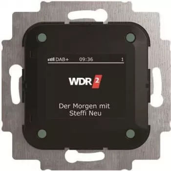 Busch-Jaeger radijo imtuvas DAB+ 8215 U-101 (2CKA008200A0275)