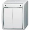 BUSCH-JAEGER Jalousietaster 2621/4W-54 ocean alpinweiss IP44 2621/4W-54 (2621/4W-54)