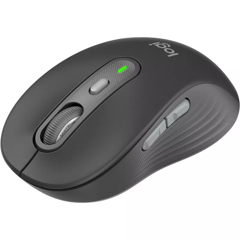 Logitech 920-012483 belaidė klaviatūra su pele, RF + Bluetooth, QWERTZ vokiškas išdėstymas, grafito spalva