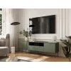 Cama EF TRESSE RTV spintelė 180x40x54.5 matinis žalias