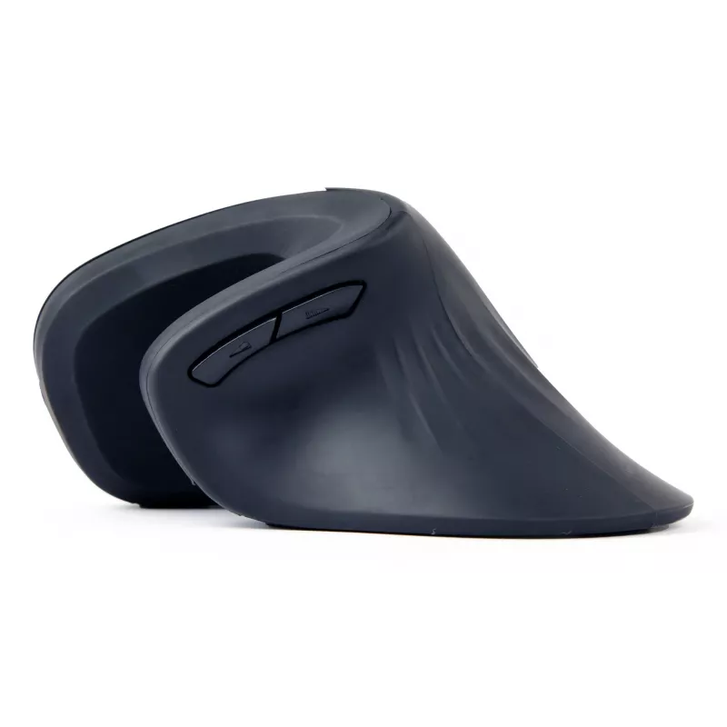 Gembird MUSW-ERGO-03 pelė Home Dešinei rankai RF Belaidė Optinė 1600 DPI
