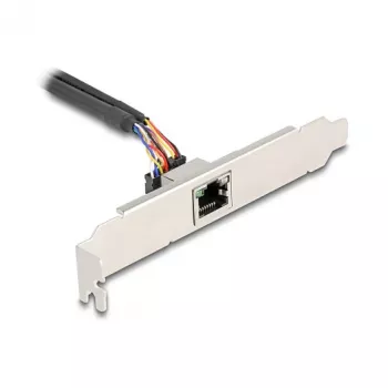 DeLOCK 95268 Vidinė RJ-45 adapterio kortelė Mini PCI Express 2,5 Gbit/s