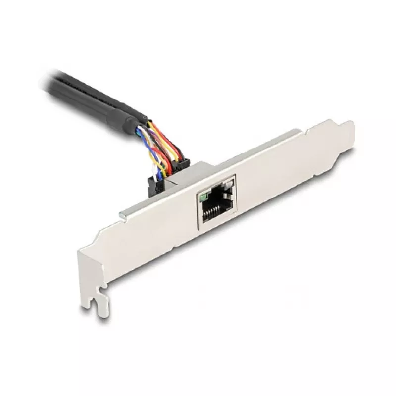 DeLOCK 95268 Vidinė RJ-45 adapterio kortelė Mini PCI Express 2,5 Gbit/s