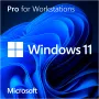Windows 11 Pro for Workstations, operacinė sistema 64 bit, vokiška, DVD-ROM