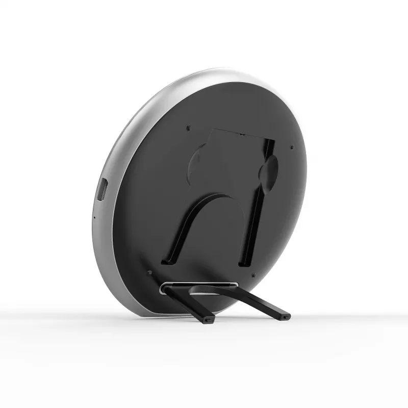 DENVER CPQ-10 Black maitinimo adapteris