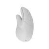 Vertikali belaidė pelė SBOX VM-838W balta